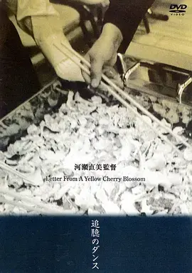 《黄樱花的来信》：穿越时空的爱恋与治愈之旅