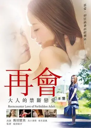 再会:大人的禁断恋爱 海报