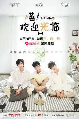 《喵欢迎光临》：不只是猫咪的可爱！揭秘疗愈系电影背后的温情与人生哲理