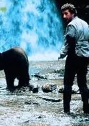 《熊记（德语版)》：一场关于身份认同的黑色幽默之旅，熊也会迷茫？