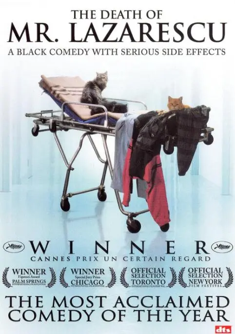 《无医可靠》：当爱意遭遇信任危机，一场关于治愈与救赎的冒险启程