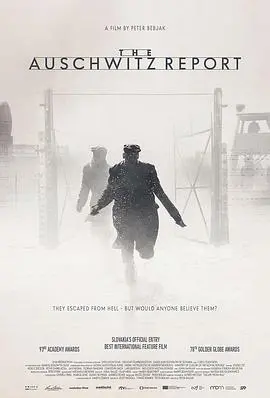 《奥斯维辛报告》：直面历史最黑暗角落，人性光辉与黑暗的残酷交织，深刻反思“善良的妈妈”与“千年谜团”